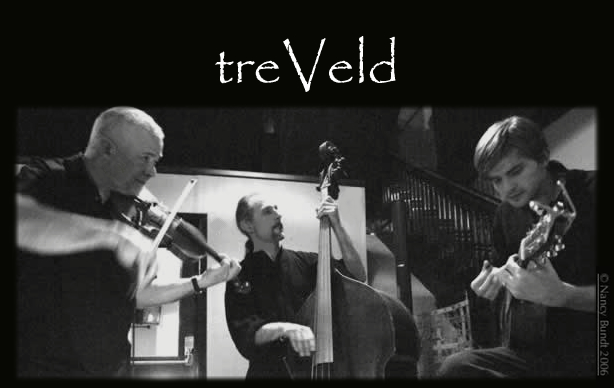 treVeld offers a unique and spirited blend of musical genres including Gypsy, Swing, Old Time, Celtic, Bluegrass, Blues, Chamber and Nordic Roots. Bill Plattes: violin & mandolin, Dustin Smith: guitars and Philip Rampi: upright bass, octave mandolin, minstrel banjo, dobro & udu. Radio play; The Morning Show (89.3, the Current), String Theory & Bluegrass Saturday Morning (KBEM), Currents (KAXE), The Pathways (WELY), Music Through The Day & Northland Morning (KUMD).